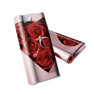 glo hyper air p fUCXLV[ S tZbg Jo[ P[X ی O[ nCp[ GA OE XebJ[ fR ANZT[ dq΂ 008865 ʐ^@n[g@ԁ@@KN