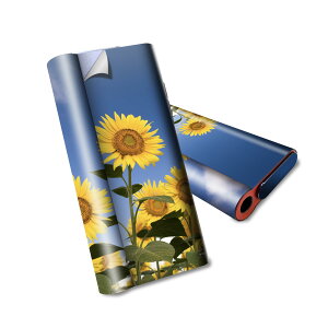 glo hyper air p fUCXLV[ S tZbg Jo[ P[X ی O[ nCp[ GA OE XebJ[ fR ANZT[ dq΂ 009265 @Ђ܂@ʐ^