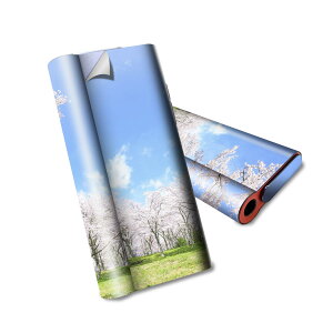 glo hyper air p fUCXLV[ S tZbg Jo[ P[X ی O[ nCp[ GA OE XebJ[ fR ANZT[ dq΂ 009459 @@@ʐ^