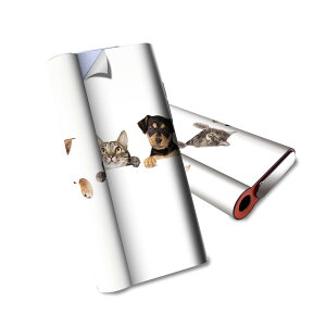 glo hyper air p fUCXLV[ S tZbg Jo[ P[X ی O[ nCp[ GA OE XebJ[ fR ANZT[ dq΂ 009675 @L@ʐ^