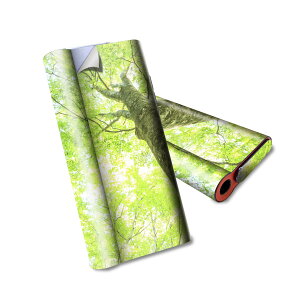 glo hyper air p fUCXLV[ S tZbg Jo[ P[X ی O[ nCp[ GA OE XebJ[ fR ANZT[ dq΂ 009755 A@΁@ʐ^