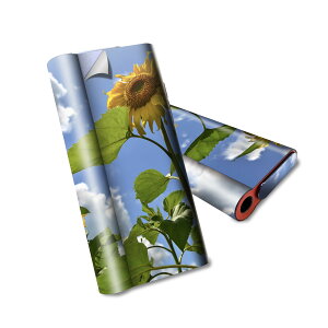 glo hyper air p fUCXLV[ S tZbg Jo[ P[X ی O[ nCp[ GA OE XebJ[ fR ANZT[ dq΂ 011366 ԁ@Ђ܂@ʐ^