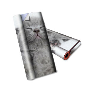 glo hyper air p fUCXLV[ S tZbg Jo[ P[X ی O[ nCp[ GA OE XebJ[ fR ANZT[ dq΂ 011682 L@@ʐ^