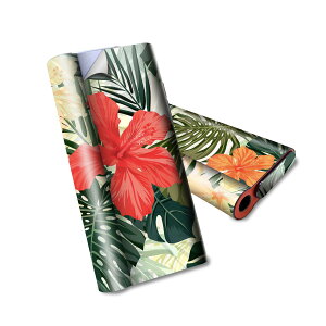 glo hyper air p fUCXLV[ S tZbg Jo[ P[X ی O[ nCp[ GA OE XebJ[ fR ANZT[ dq΂ 012035 nCrXJX@ԁ@A