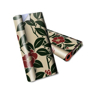 glo hyper air p fUCXLV[ S tZbg Jo[ P[X ی O[ nCp[ GA OE XebJ[ fR ANZT[ dq΂ 012265 ԁ@A@a