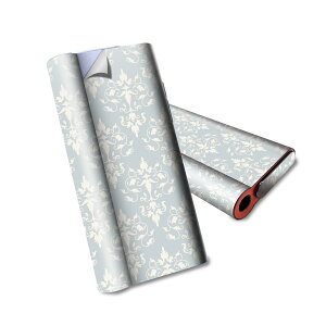 glo hyper air p fUCXLV[ S tZbg Jo[ P[X ی O[ nCp[ GA OE XebJ[ fR ANZT[ dq΂ 012530 _}XN@k@