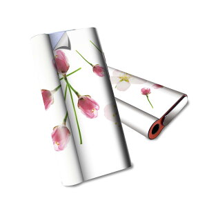 glo hyper air p fUCXLV[ S tZbg Jo[ P[X ی O[ nCp[ GA OE XebJ[ fR ANZT[ dq΂ 012850 @ԁ@t