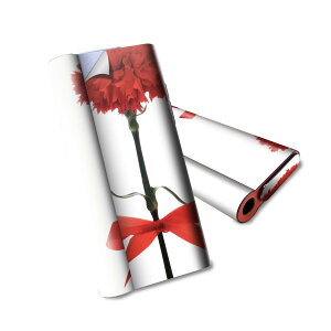 glo hyper air p fUCXLV[ S tZbg Jo[ P[X ی O[ nCp[ GA OE XebJ[ fR ANZT[ dq΂ 012929 ̓@J[l[V@