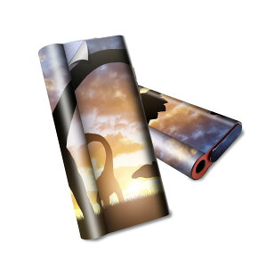 glo hyper air p fUCXLV[ S tZbg Jo[ P[X ی O[ nCp[ GA OE XebJ[ fR ANZT[ dq΂ 013281 @VGbg@[