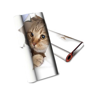 glo hyper air p fUCXLV[ S tZbg Jo[ P[X ی O[ nCp[ GA OE XebJ[ fR ANZT[ dq΂ 013566 L@ʐ^