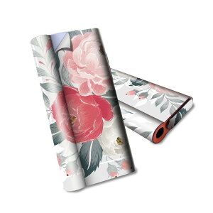 glo hyper air p fUCXLV[ S tZbg Jo[ P[X ی O[ nCp[ GA OE XebJ[ fR ANZT[ dq΂ 013917 ԁ@@sN