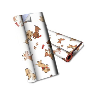 glo hyper air p fUCXLV[ S tZbg Jo[ P[X ی O[ nCp[ GA OE XebJ[ fR ANZT[ dq΂ 013925 @@Aj}