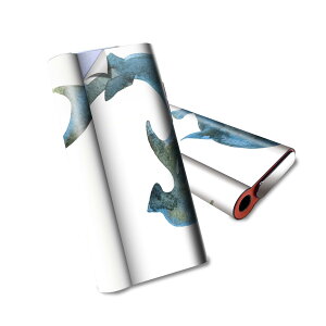 glo hyper air p fUCXLV[ S tZbg Jo[ P[X ی O[ nCp[ GA OE XebJ[ fR ANZT[ dq΂ 014030 T@C@