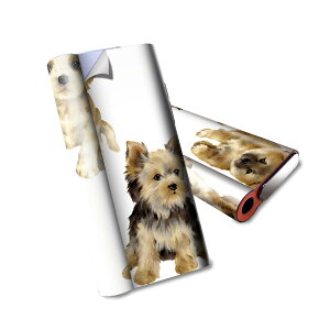 glo hyper air p fUCXLV[ S tZbg Jo[ P[X ی O[ nCp[ GA OE XebJ[ fR ANZT[ dq΂ 014619 @@Aj}