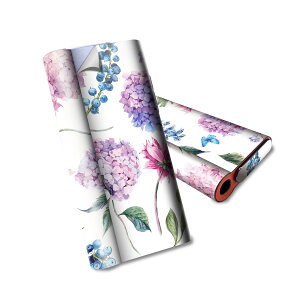 glo hyper air p fUCXLV[ S tZbg Jo[ P[X ی O[ nCp[ GA OE XebJ[ fR ANZT[ dq΂ 014760 AWTC@ԁ@~J