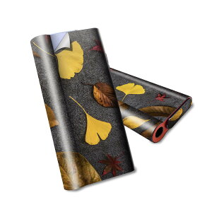 glo hyper air p fUCXLV[ S tZbg Jo[ P[X ی O[ nCp[ GA OE XebJ[ fR ANZT[ dq΂ 014832 tρ@H@t@gt