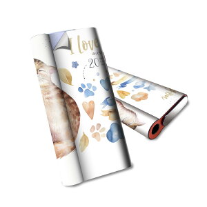 glo hyper air p fUCXLV[ S tZbg Jo[ P[X ی O[ nCp[ GA OE XebJ[ fR ANZT[ dq΂ 015593 L@vw@@p