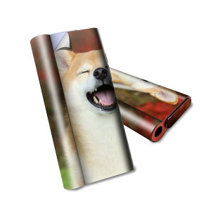 glo hyper air p fUCXLV[ S tZbg Jo[ P[X ی O[ nCp[ GA OE XebJ[ fR ANZT[ dq΂ 015611 @킢@Č