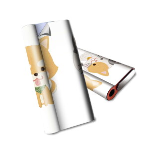 glo hyper air p fUCXLV[ S tZbg Jo[ P[X ی O[ nCp[ GA OE XebJ[ fR ANZT[ dq΂ 016075 L@킢