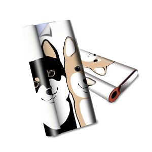 glo hyper air p fUCXLV[ S tZbg Jo[ P[X ی O[ nCp[ GA OE XebJ[ fR ANZT[ dq΂ 016088 @dog@킢