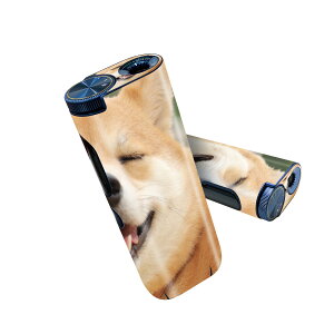 glo hyper pro p fUCXLV[ 2 V3 Zbg 360°Jo[ P[X ی O[ nCp[ v OE XebJ[ fR ANZT[ 000926 @Č