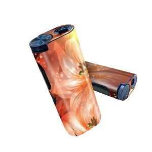 glo hyper pro p fUCXLV[ 2 V3 Zbg 360°Jo[ P[X ی O[ nCp[ v OE XebJ[ fR ANZT[ 001991 ԁ@@IW