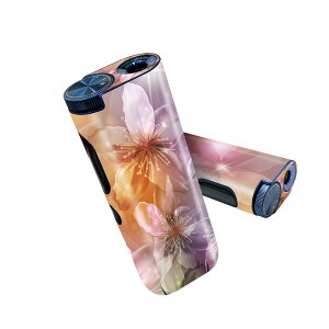 glo hyper pro �p �f�U�C���X�L���V�[�� ����2�� �V��3�� �Z�b�g 360°�J�o�[ �P�[�X �ی� �O���[ �n�C�p�[ �v�� �O���E �X�e�b�J�[ �f�R �A�N�Z�T���[ 002023 �ԁ@�@�J���t��