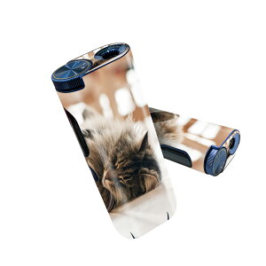 glo hyper pro p fUCXLV[ 2 V3 Zbg 360°Jo[ P[X ی O[ nCp[ v OE XebJ[ fR ANZT[ 002601 L@@ʐ^