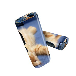 glo hyper pro p fUCXLV[ 2 V3 Zbg 360°Jo[ P[X ی O[ nCp[ v OE XebJ[ fR ANZT[ 002759 L@@ʐ^