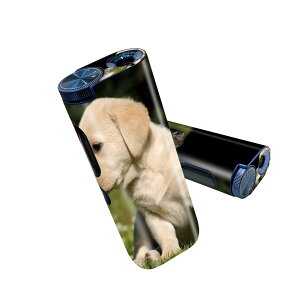 glo hyper pro p fUCXLV[ 2 V3 Zbg 360°Jo[ P[X ی O[ nCp[ v OE XebJ[ fR ANZT[ 002794 @L@@ʐ^