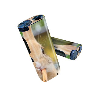 glo hyper pro p fUCXLV[ 2 V3 Zbg 360°Jo[ P[X ی O[ nCp[ v OE XebJ[ fR ANZT[ 002807 @@ʐ^