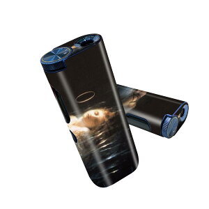 glo hyper pro p fUCXLV[ 2 V3 Zbg 360°Jo[ P[X ی O[ nCp[ v OE XebJ[ fR ANZT[ 003213 l@G@CXg