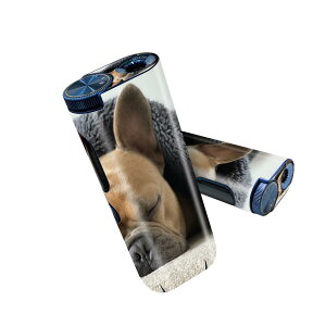 glo hyper pro p fUCXLV[ 2 V3 Zbg 360°Jo[ P[X ی O[ nCp[ v OE XebJ[ fR ANZT[ 025947 @@t`uhbO