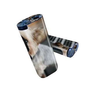 glo hyper pro p fUCXLV[ 2 V3 Zbg 360°Jo[ P[X ی O[ nCp[ v OE XebJ[ fR ANZT[ 004565 @ʐ^@sAm