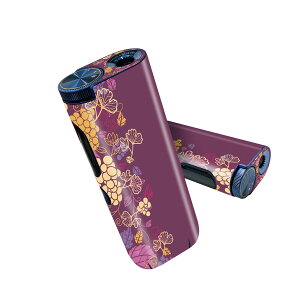 glo hyper pro �p �f�U�C���X�L���V�[�� ����2�� �V��3�� �Z�b�g 360°�J�o�[ �P�[�X �ی� �O���[ �n�C�p�[ �v�� �O���E �X�e�b�J�[ �f�R �A�N�Z�T���[ 004777 �ԁ@��