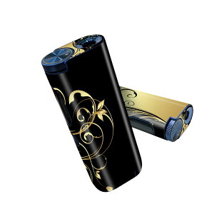 glo hyper pro p fUCXLV[ 2 V3 Zbg 360°Jo[ P[X ی O[ nCp[ v OE XebJ[ fR ANZT[ 007617 A@@ubN@CG[