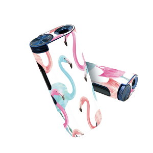 glo hyper pro �p �f�U�C���X�L���V�[�� ����2�� �V��3�� �Z�b�g 360°�J�o�[ �P�[�X �ی� �O���[ �n�C�p�[ �v�� �O���E �X�e�b�J�[ �f�R �A�N�Z�T���[ 011250 �t���~���S�@�p�X�e���@�A�j�}��