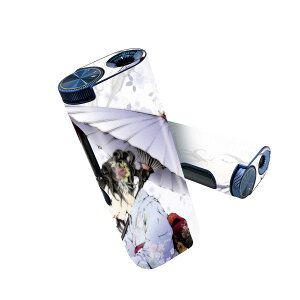 glo hyper pro p fUCXLV[ 2 V3 Zbg 360°Jo[ P[X ی O[ nCp[ v OE XebJ[ fR ANZT[ 011546 l@@a
