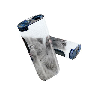 glo hyper pro p fUCXLV[ 2 V3 Zbg 360°Jo[ P[X ی O[ nCp[ v OE XebJ[ fR ANZT[ 011682 L@@ʐ^