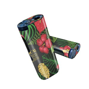 glo hyper pro p fUCXLV[ 2 V3 Zbg 360°Jo[ P[X ی O[ nCp[ v OE XebJ[ fR ANZT[ 013891 [t@ā@nCrXJX