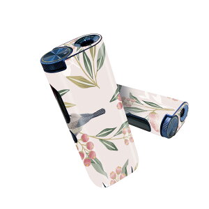 glo hyper pro �p �f�U�C���X�L���V�[�� ����2�� �V��3�� �Z�b�g 360°�J�o�[ �P�[�X �ی� �O���[ �n�C�p�[ �v�� �O���E �X�e�b�J�[ �f�R �A�N�Z�T���[ 013916 �ԁ@�@��