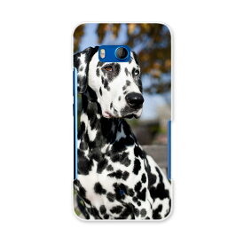 楽天市場 犬 ハードケース 情報端末シリーズhtc スマートフォン タブレット の通販 楽天市場 犬 ハードケース 情報端末シリーズhtc スマートフォン タブレット の通販