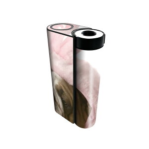 glo hyper x2 p fUCXLV[ S tZbg Jo[ P[X ی O[ OE XebJ[ fR ANZT[ dq΂ 001083 @