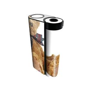 glo hyper x2 p fUCXLV[ S tZbg Jo[ P[X ی O[ OE XebJ[ fR ANZT[ dq΂ 001105 eBfBxA@N}