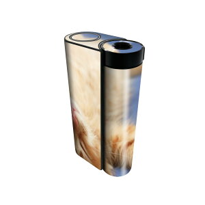 glo hyper x2 p fUCXLV[ S tZbg Jo[ P[X ی O[ OE XebJ[ fR ANZT[ dq΂ 002759 L@@ʐ^