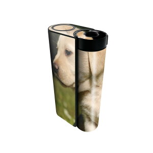 glo hyper x2 p fUCXLV[ S tZbg Jo[ P[X ی O[ OE XebJ[ fR ANZT[ dq΂ 002794 @L@@ʐ^