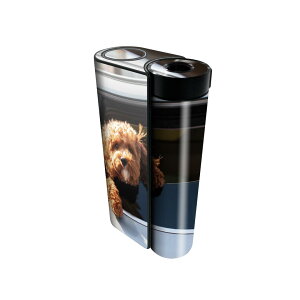 glo hyper x2 p fUCXLV[ S tZbg Jo[ P[X ی O[ OE XebJ[ fR ANZT[ dq΂ 023221 @ԁ@ʐ^