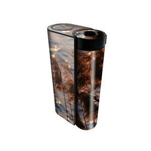 glo hyper x2 専用 デザインスキンシール 全面 フルセット カバー ケース 保護 グロー グロウ ステッカー デコ アクセサリー 電子たばこ 023719 パンパスグラス 植物 水面