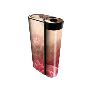 glo hyper x2 p fUCXLV[ S tZbg Jo[ P[X ی O[ OE XebJ[ fR ANZT[ dq΂ 023749 ԁ@t[@n[g