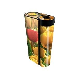 glo hyper x2 ��p �f�U�C���X�L���V�[�� �S�� �t���Z�b�g �J�o�[ �P�[�X �ی� �O���[ �O���E �X�e�b�J�[ �f�R �A�N�Z�T���[ �d�q���΂� 023914 �ԁ@�t�����[